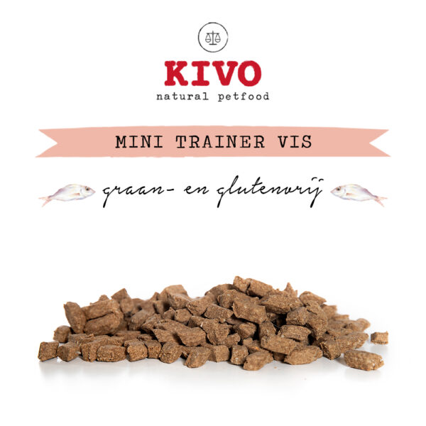 Kivo Mini Trainers Vis 200 gram