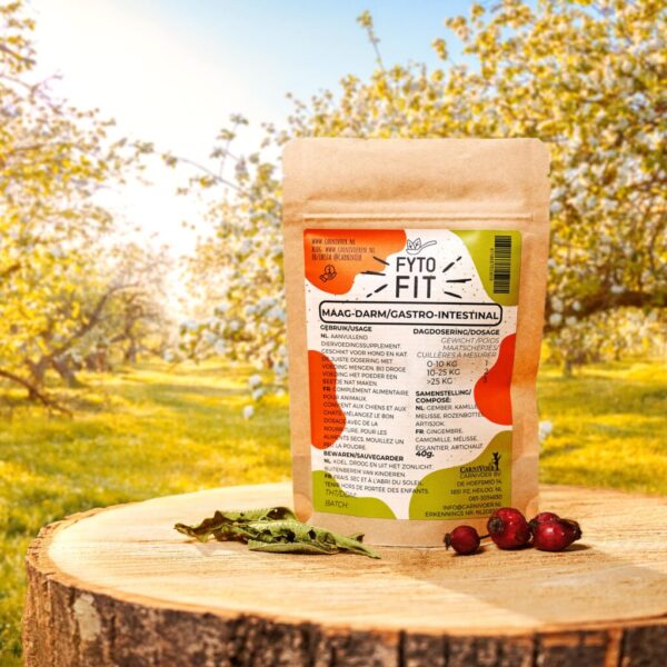 Fyto-Fit Maag-Darm