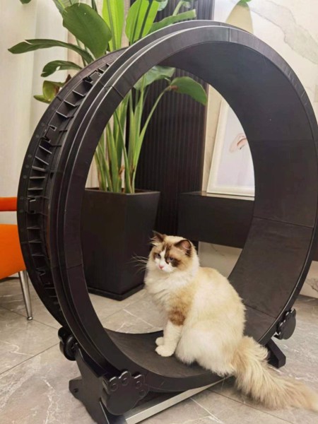 Petlux looprad / loopwiel voor kat Zwart L 100x28x103 cm