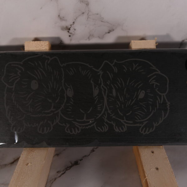 Leisteen Plaat met Gravure – 28 x 11 cm - Cavia's