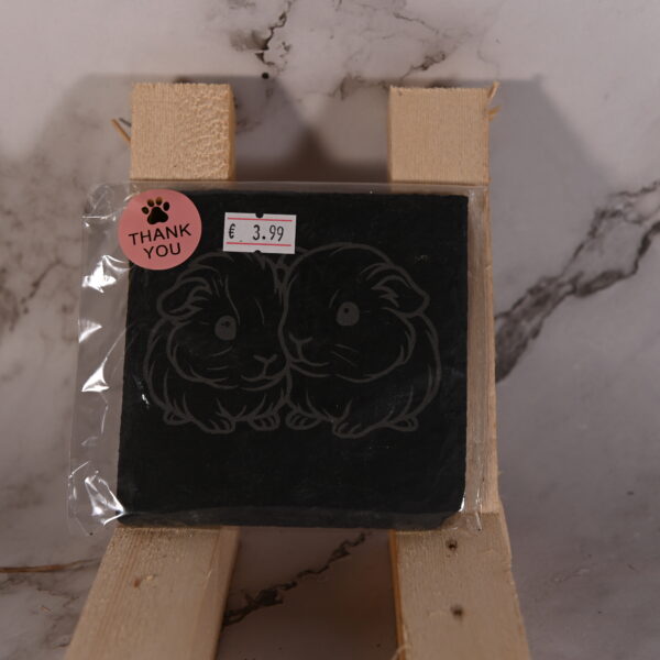 Leisteen Onderzetter met Gravure – 10 x 10 cm- 2 baby cavia's