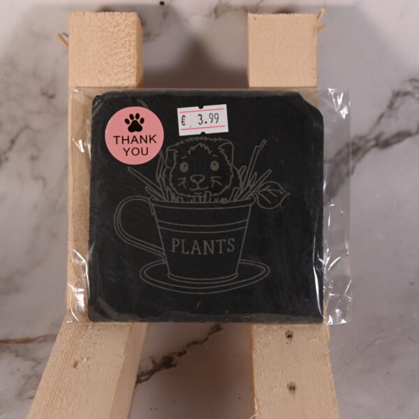 Leisteen Onderzetter met Gravure – 10 x 10 cm-Baby Cavia